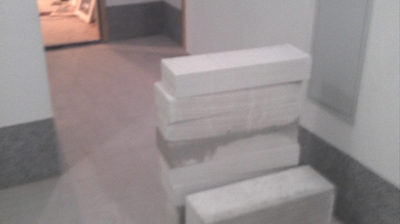 грузчики в Киеве выполняют перенос материалов по объекту
